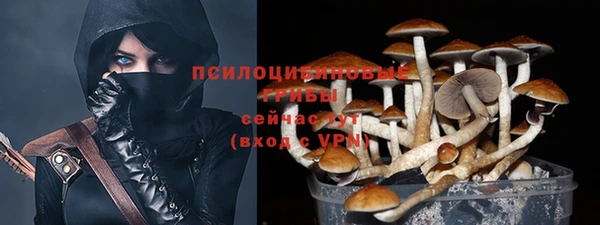 spice Алексеевка