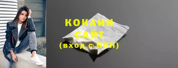 стафф Алзамай