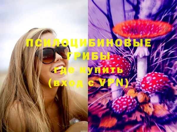 spice Алексеевка