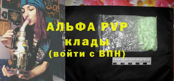 стафф Алзамай