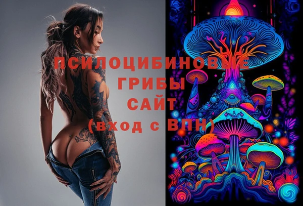 spice Алексеевка