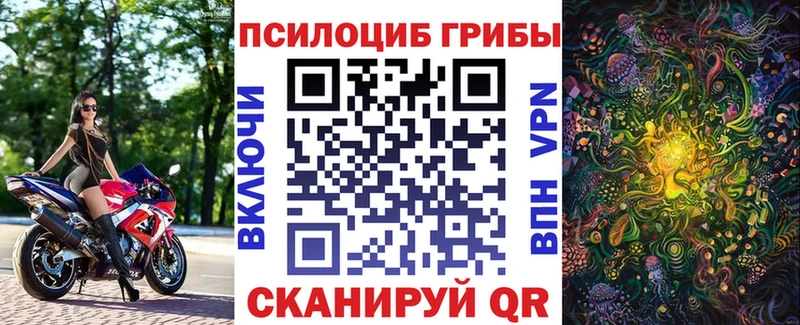Псилоцибиновые грибы прущие грибы  Елизаветинская 