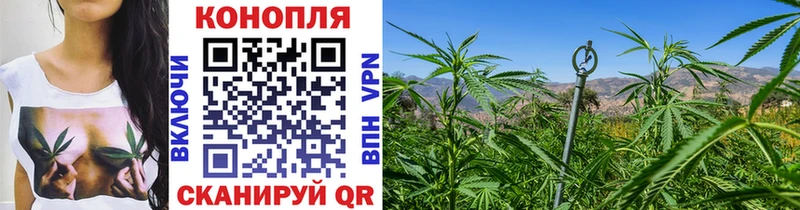 как найти закладки  Елизаветинская  Марихуана OG Kush 